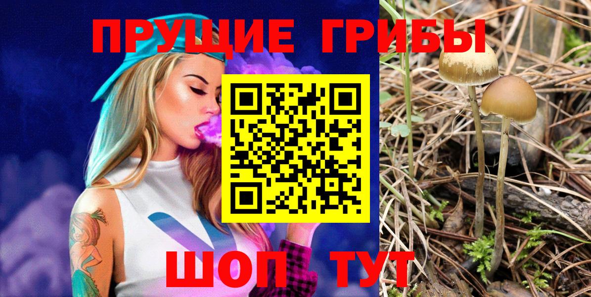 Псилоцибиновые грибы Psilocybine cubensis Артёмовский